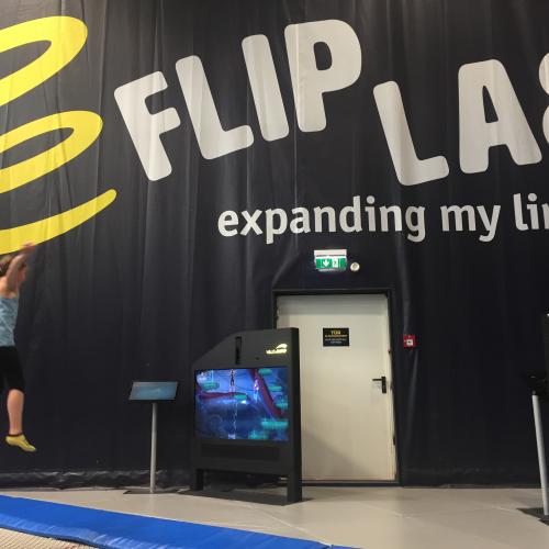Flip Lab